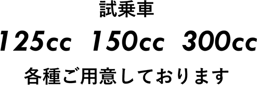 試乗車 125cc  150cc  300cc
 各種ご用意しております
